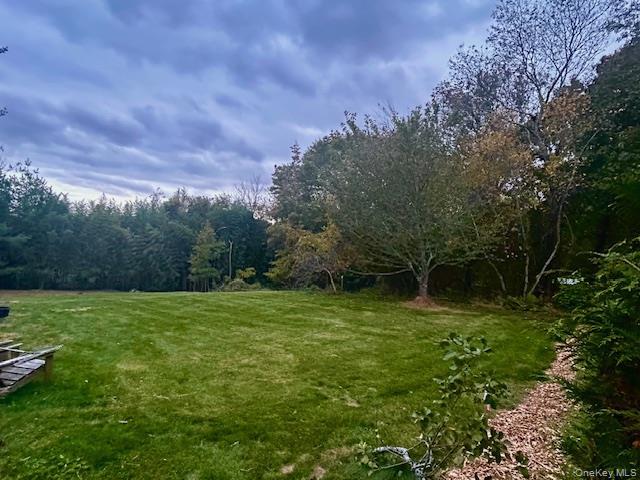 Single Family Merritts  Suffolk County, NY 11778, MLS-979653-9