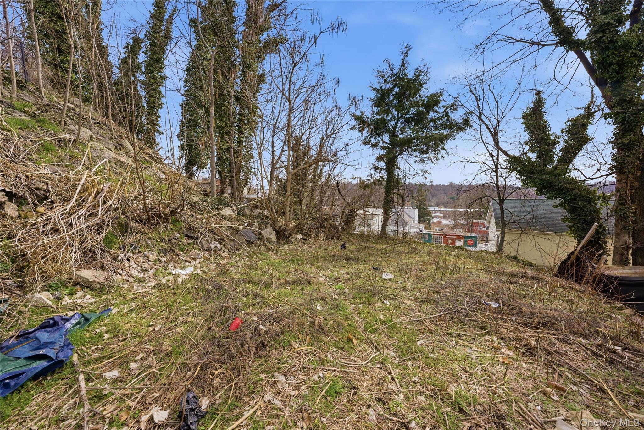 Single Family Vineyard  Westchester County, NY 10703, MLS-979669-21