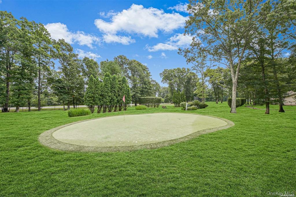 Condo Newcastle  Suffolk County, NY 11961, MLS-979670-35