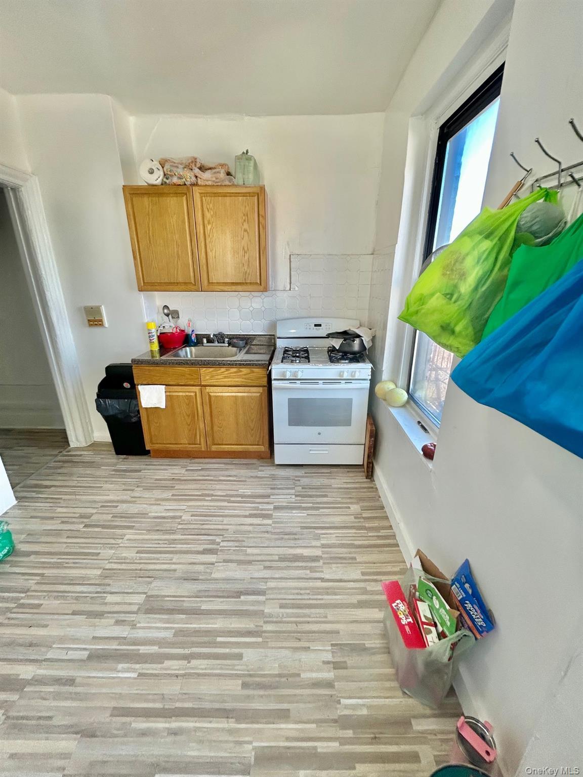 Commercial Sale Elder  Bronx, NY 10472, MLS-979716-16