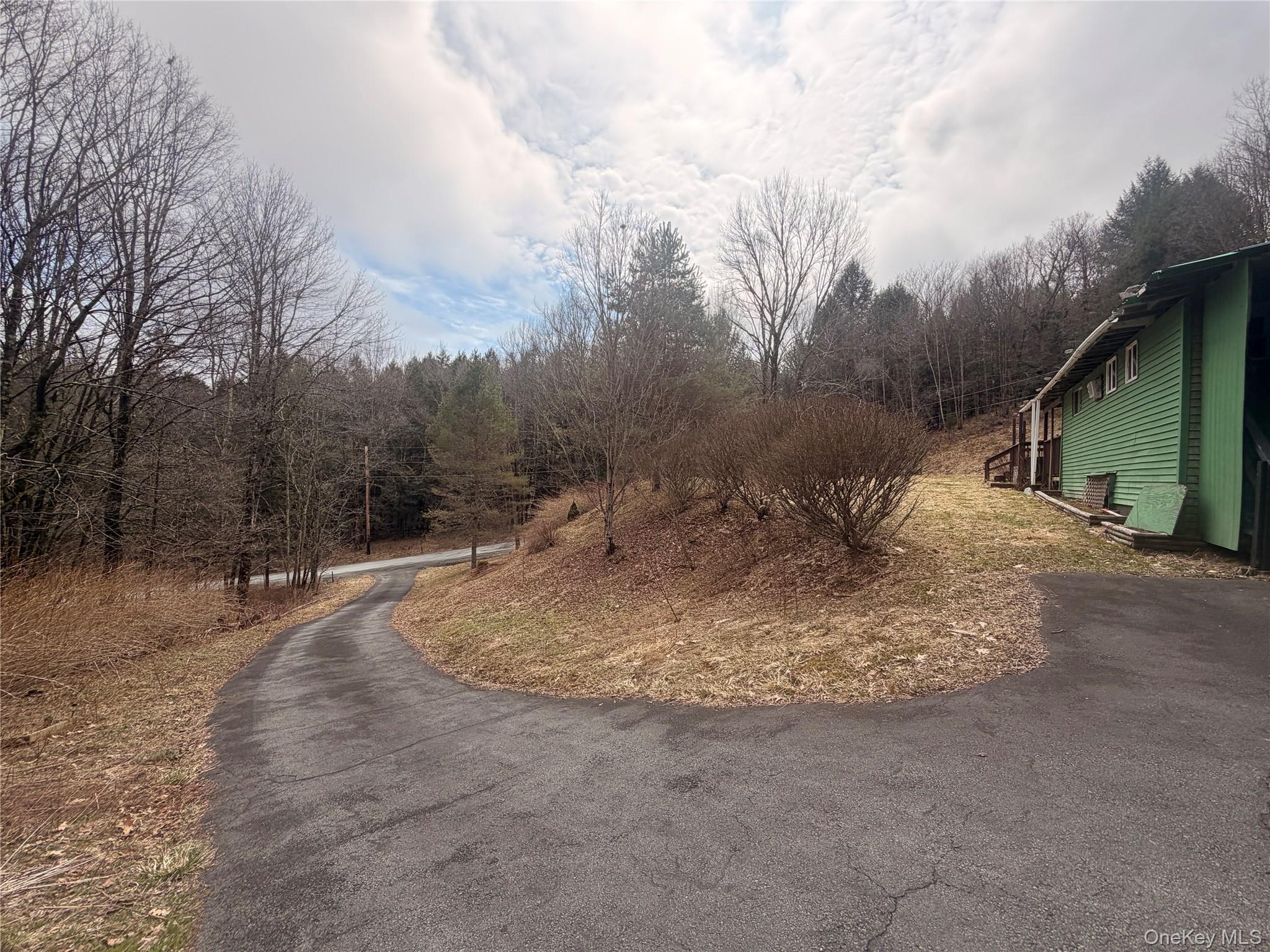 Single Family Back Shandelee  Sullivan County, NY 12758, MLS-979718-2