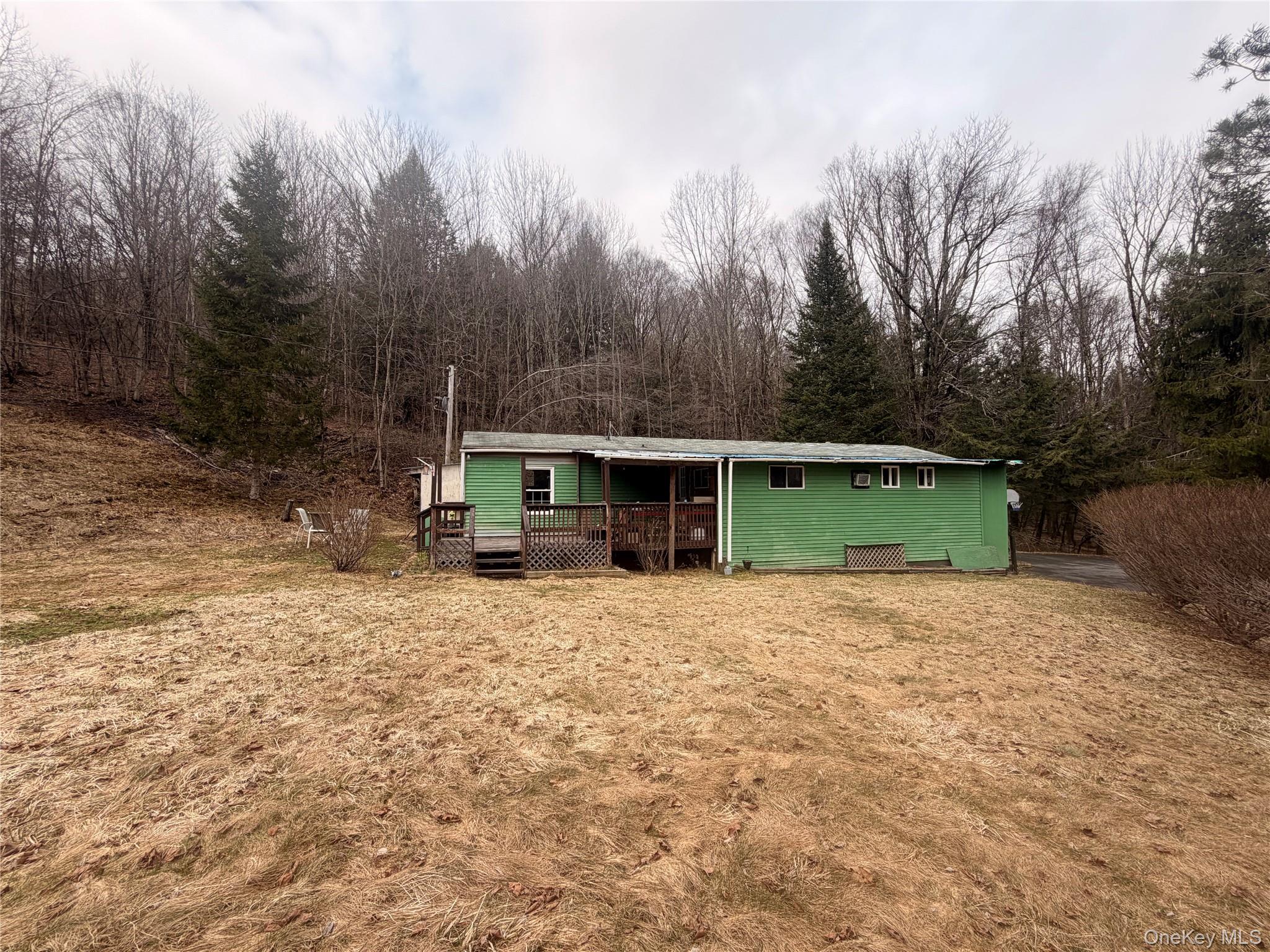 Single Family Back Shandelee  Sullivan County, NY 12758, MLS-979718-3