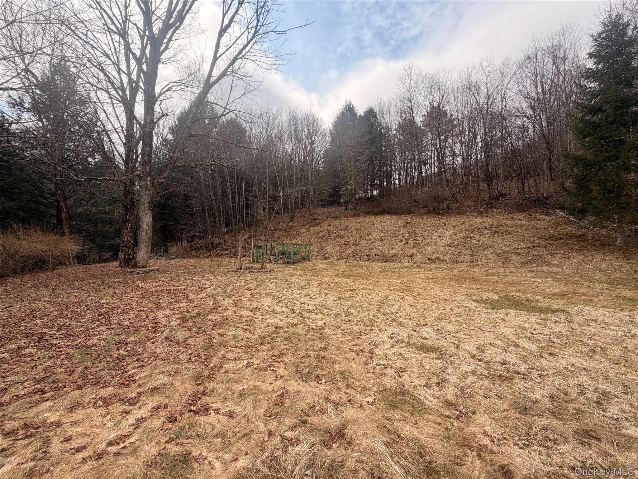 Single Family Back Shandelee  Sullivan County, NY 12758, MLS-979718-4