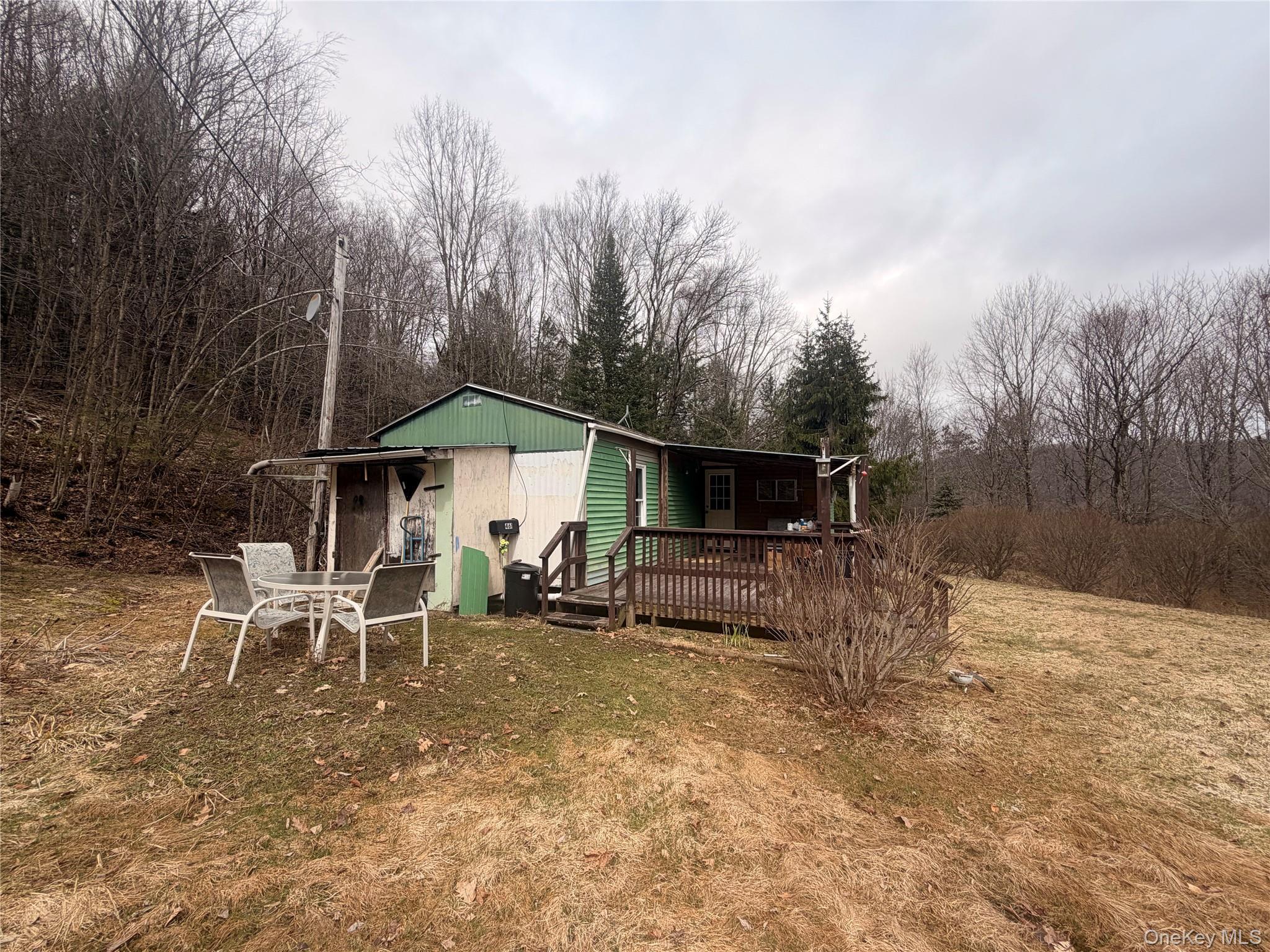 Single Family Back Shandelee  Sullivan County, NY 12758, MLS-979718-5