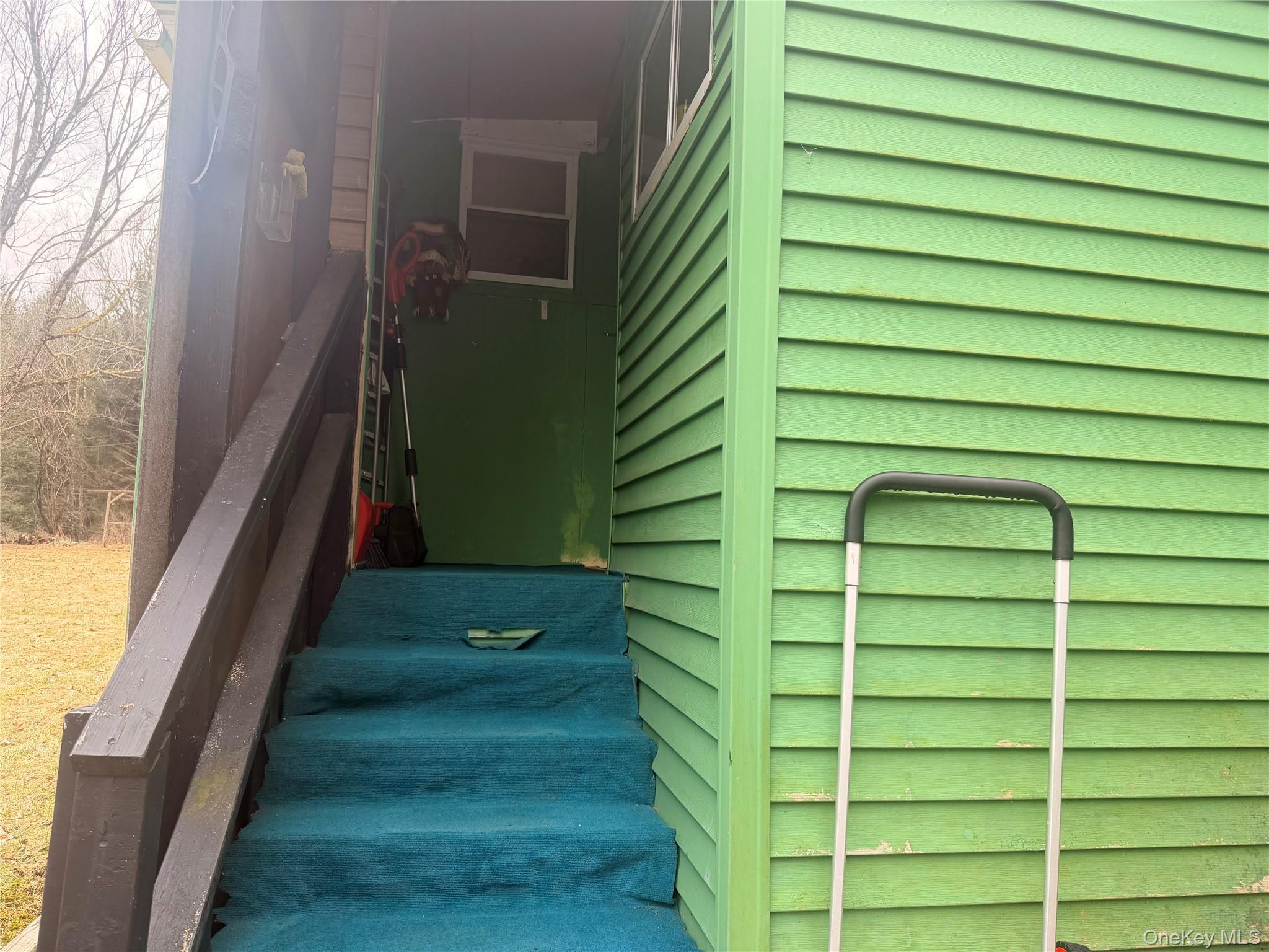 Single Family Back Shandelee  Sullivan County, NY 12758, MLS-979718-6