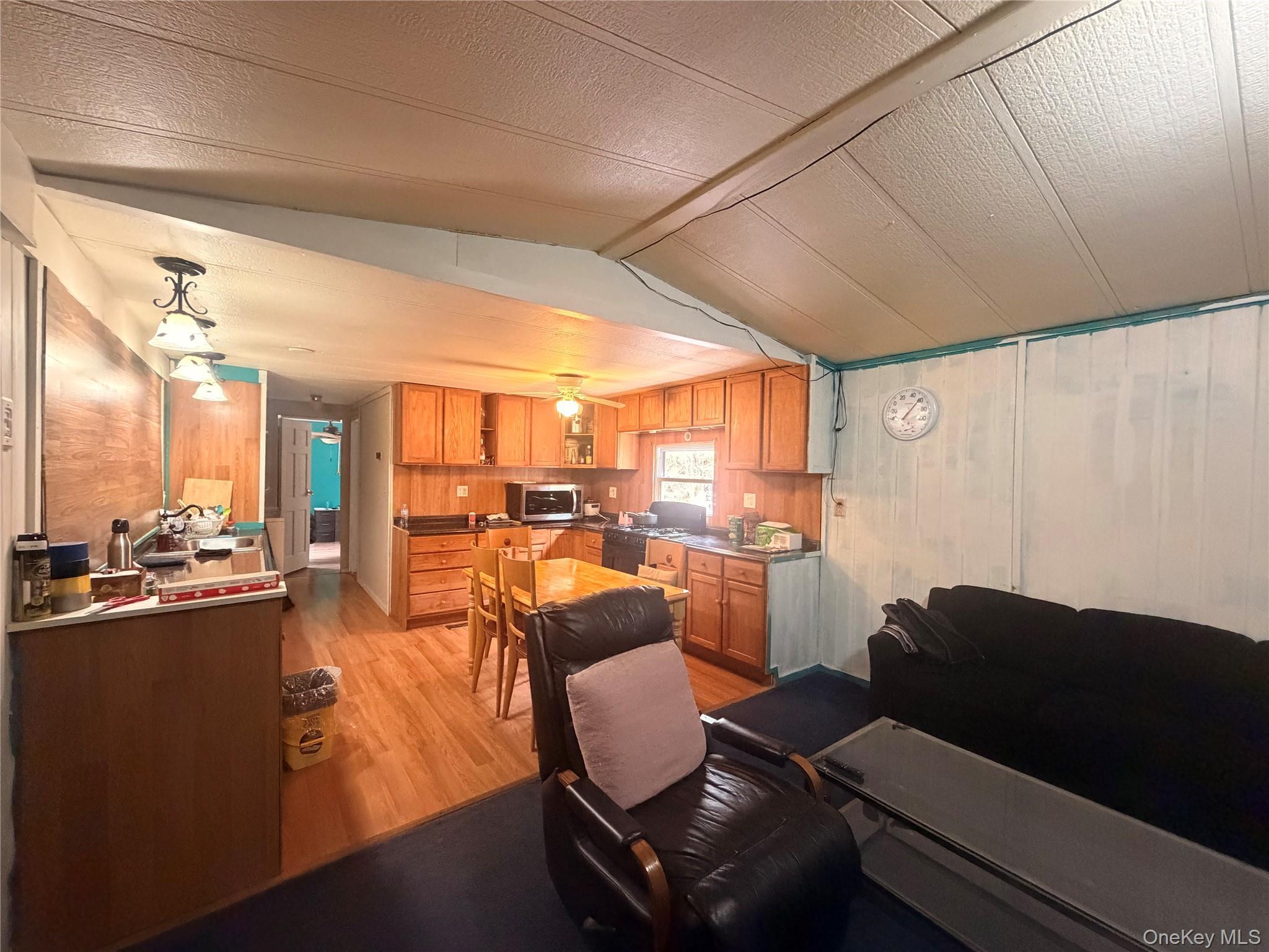 Single Family Back Shandelee  Sullivan County, NY 12758, MLS-979718-7