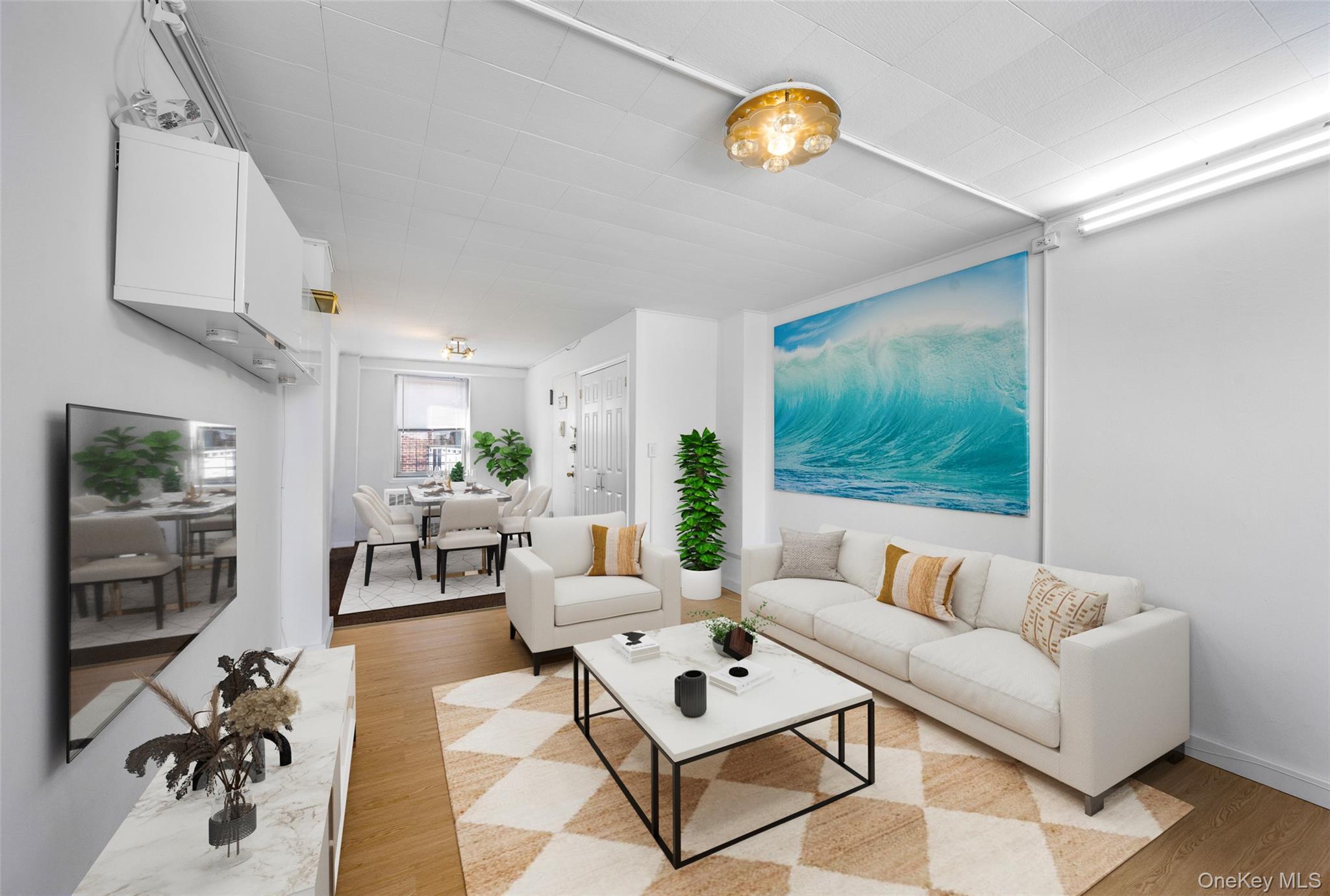 Coop 97  Queens, NY 11374, MLS-979728-8