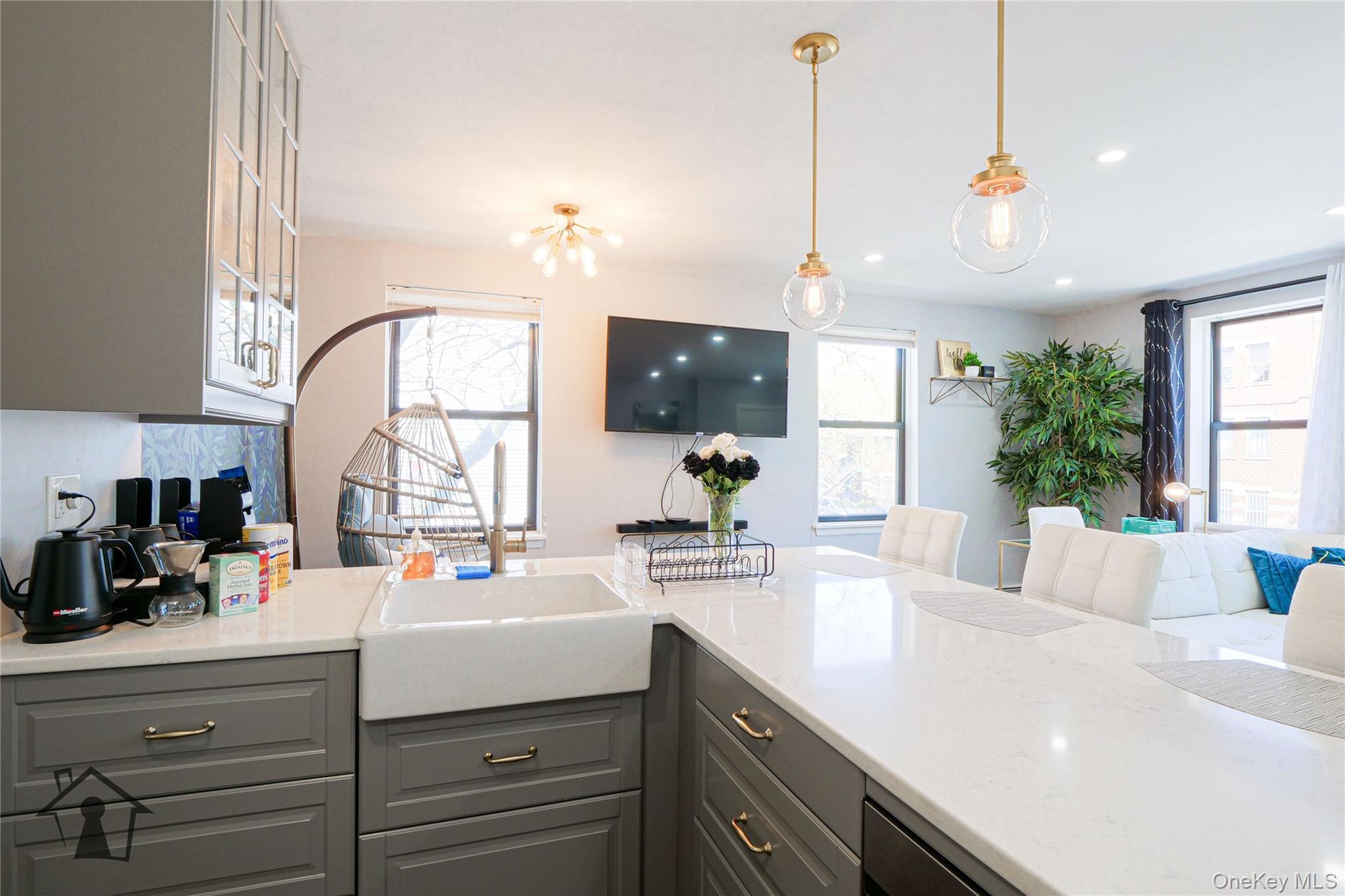 Condo Erasmus Brooklyn, NY 11226, MLS-979745-10