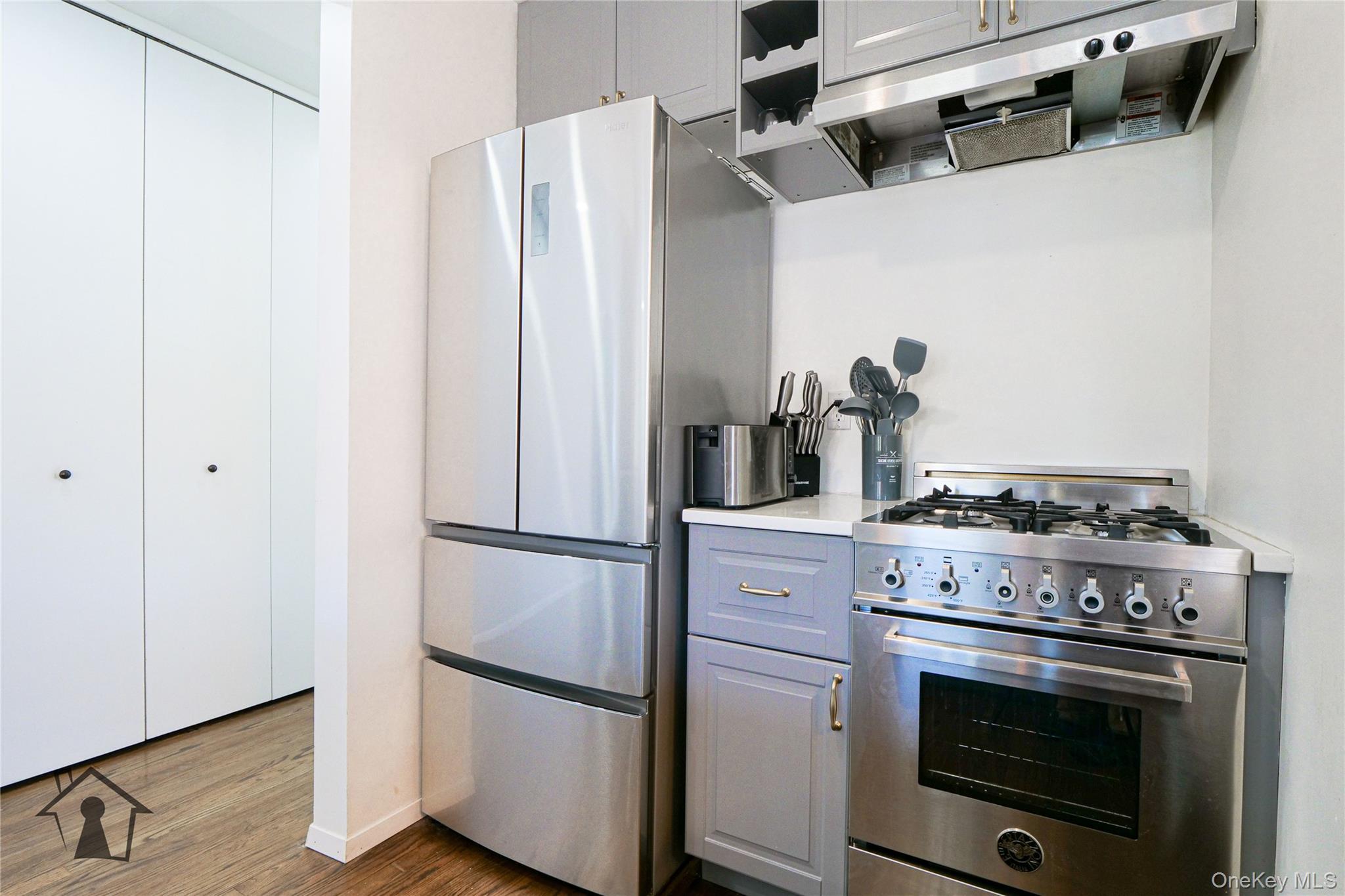 Condo Erasmus Brooklyn, NY 11226, MLS-979745-11
