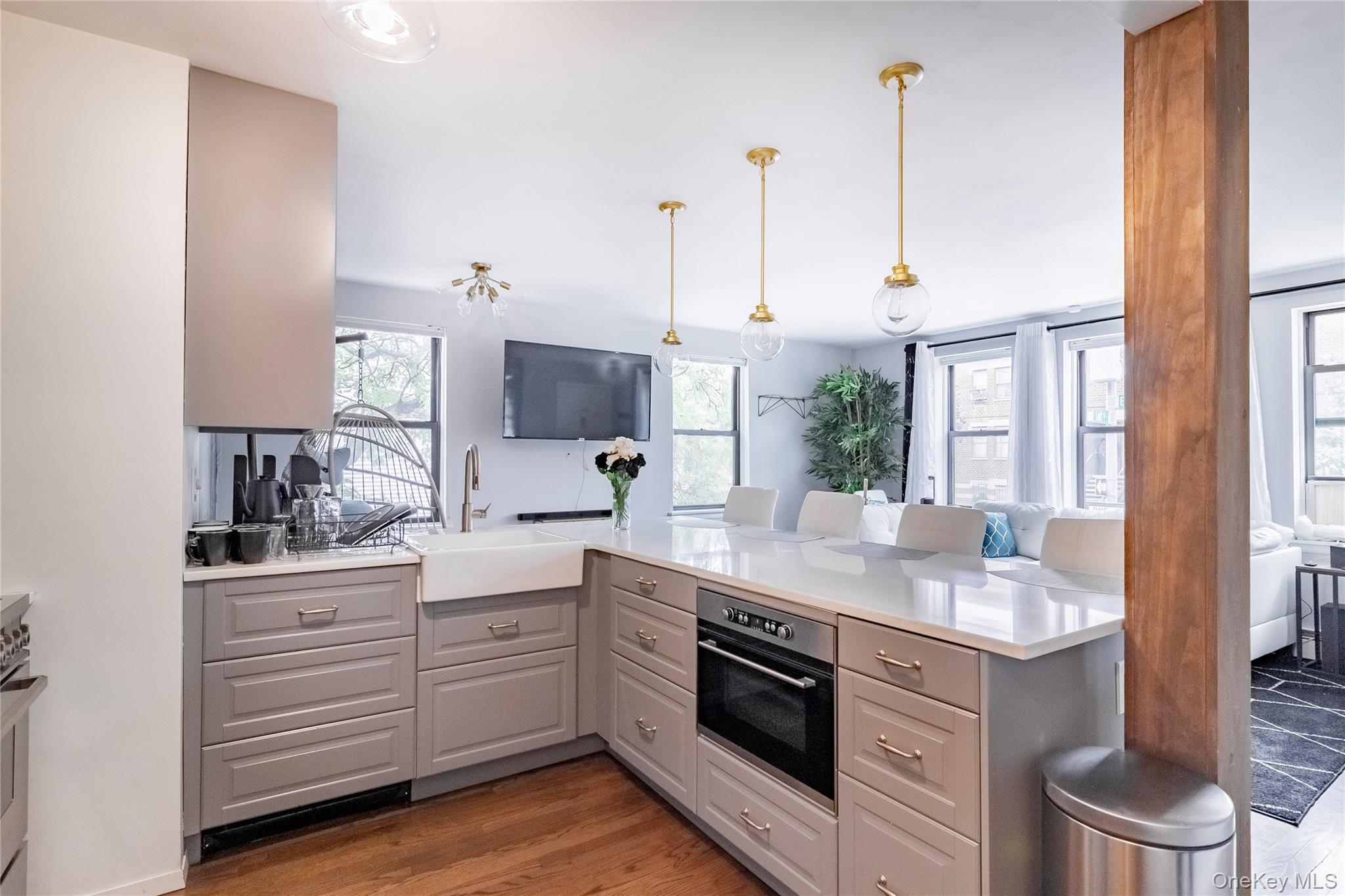 Condo Erasmus Brooklyn, NY 11226, MLS-979745-2