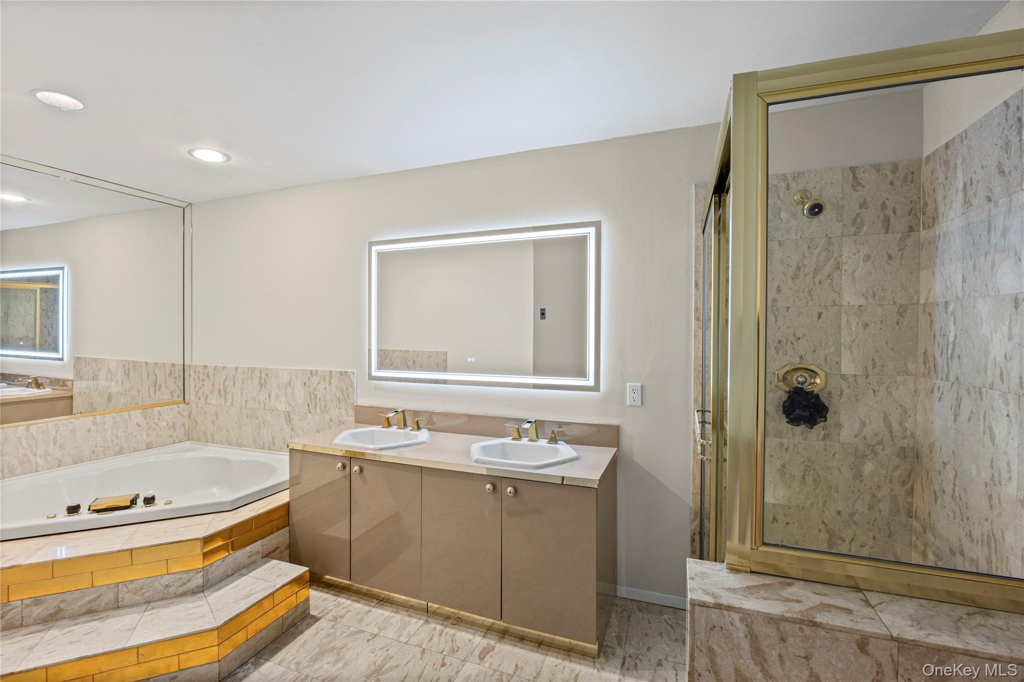 Condo Princess Tree  Suffolk County, NY 11777, MLS-979770-11