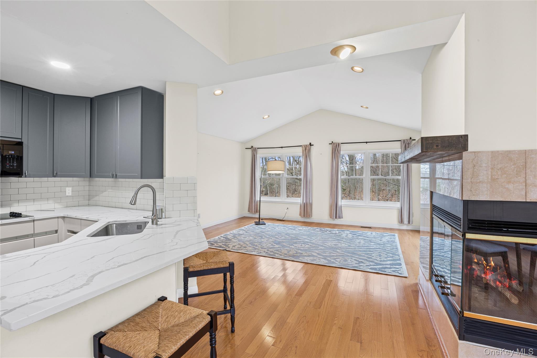 Condo Princess Tree  Suffolk County, NY 11777, MLS-979770-2