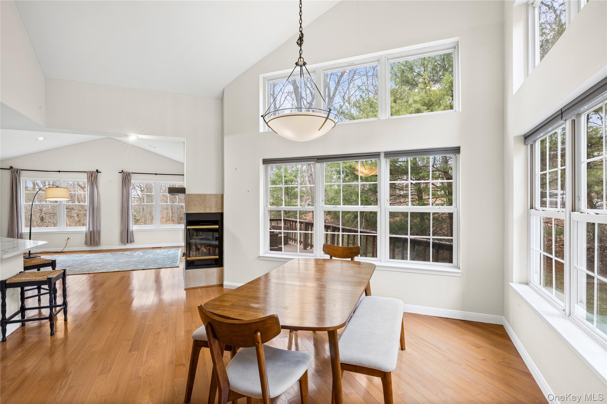 Condo Princess Tree  Suffolk County, NY 11777, MLS-979770-5