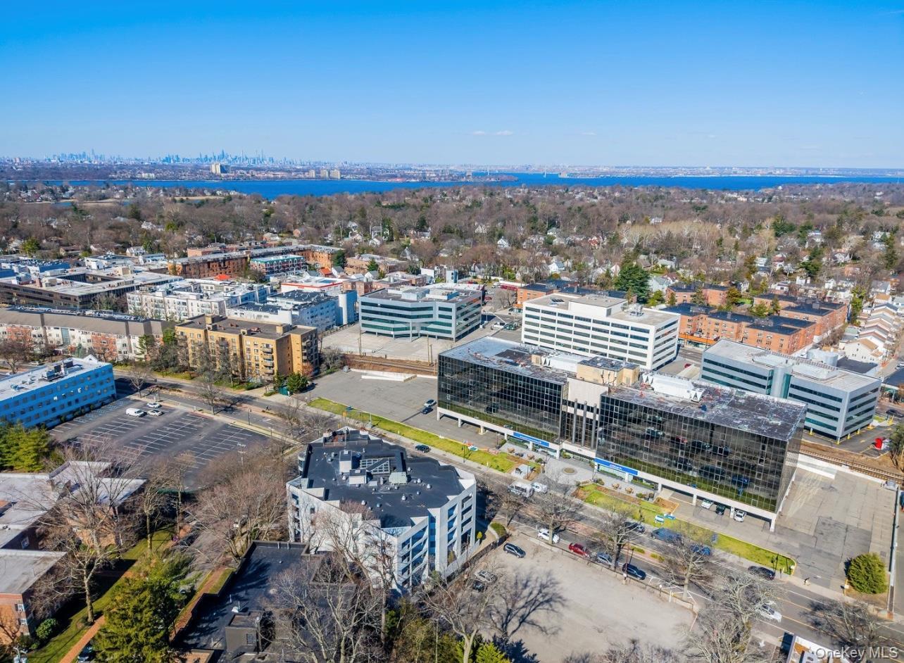 Condo Great Neck  Nassau County, NY 11021, MLS-979793-31