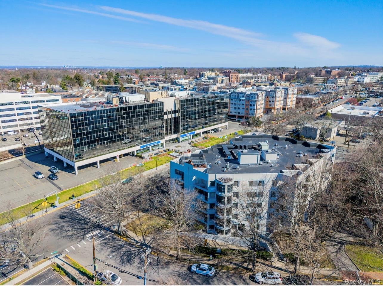 Condo Great Neck  Nassau County, NY 11021, MLS-979793-32