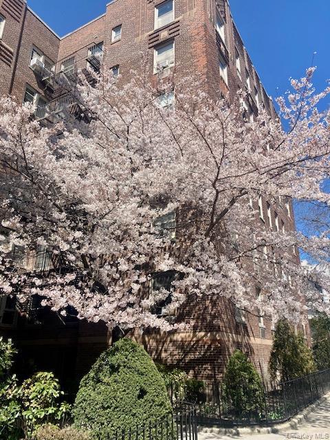 Coop 43rd  Queens, NY 11377, MLS-979804-13