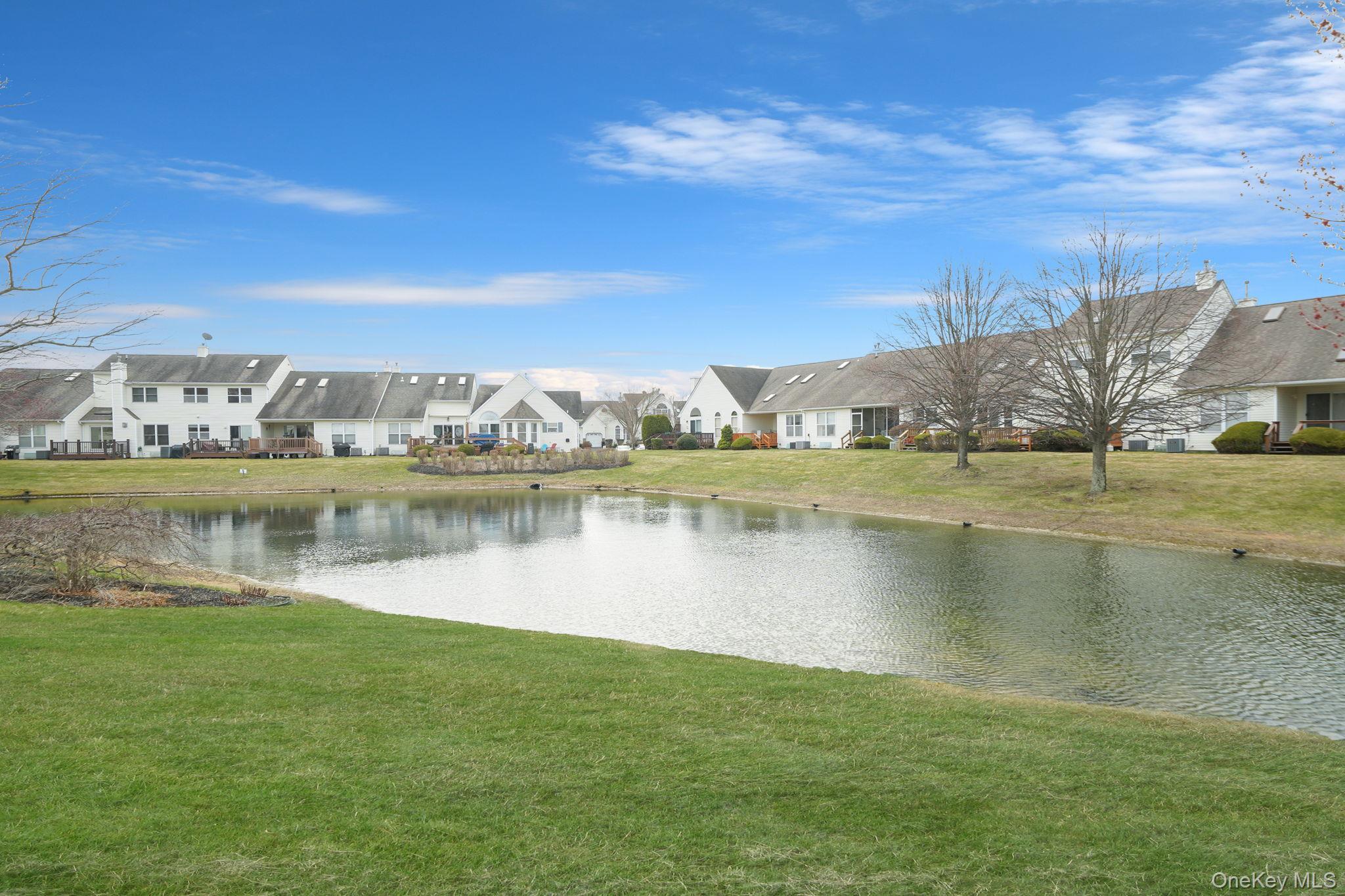 Condo Nicole Suffolk County, NY 11776, MLS-979827-3