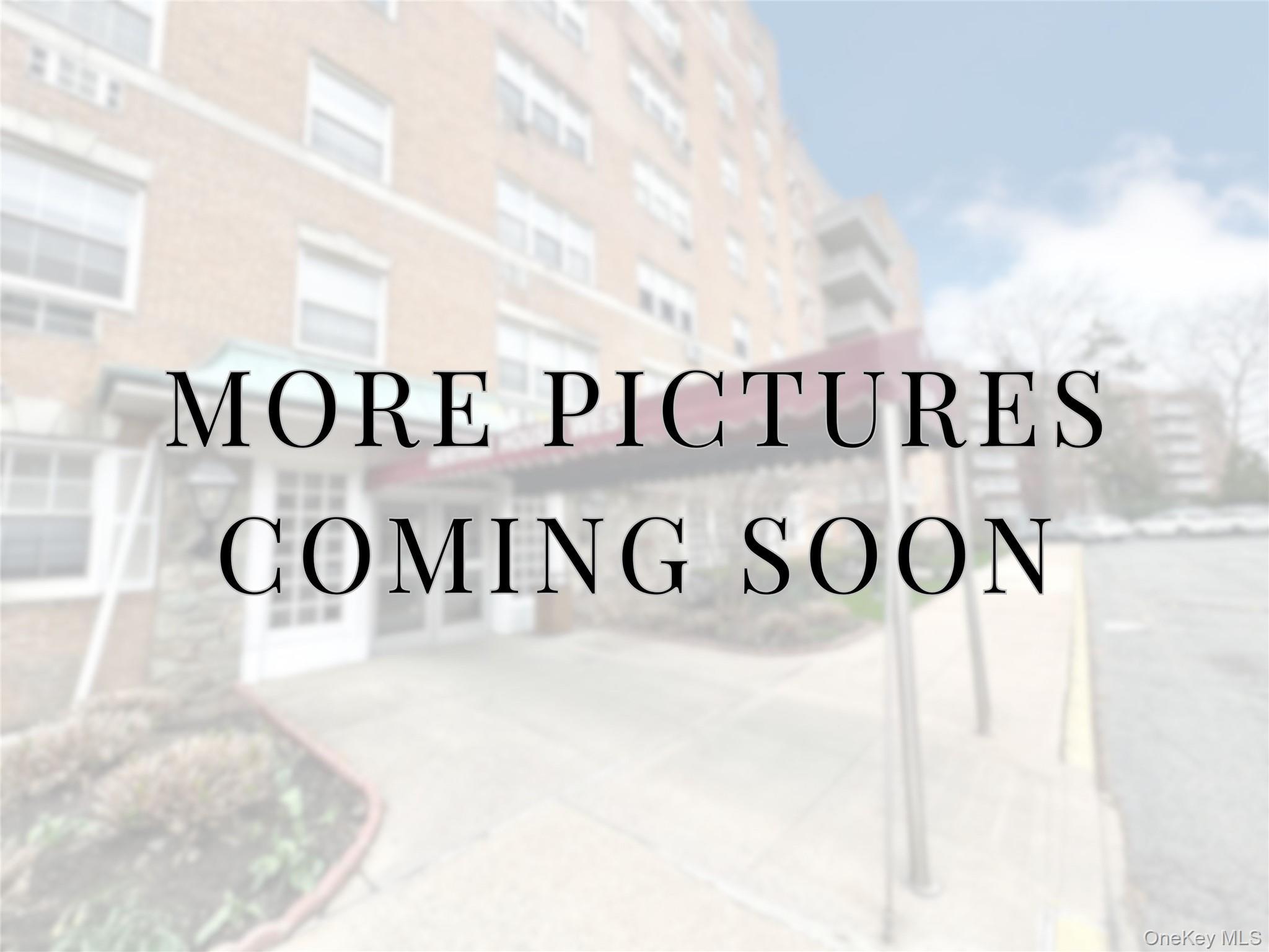Condo 153rd  Queens, NY 11414, MLS-979830-5