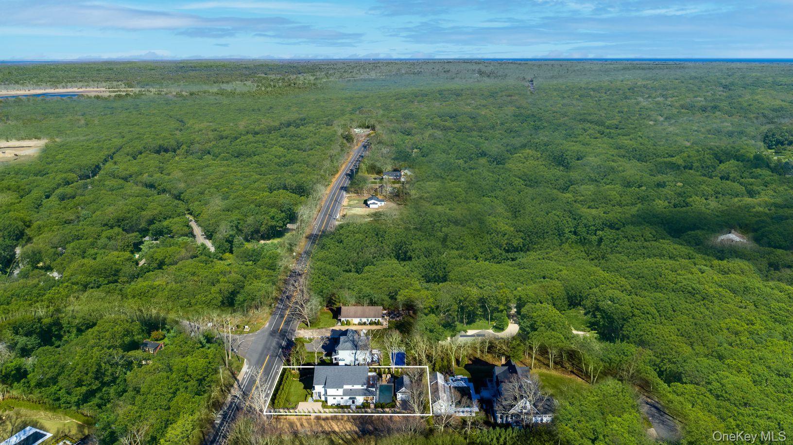 Single Family Hampton Street  Suffolk County, NY 11963, MLS-979851-28