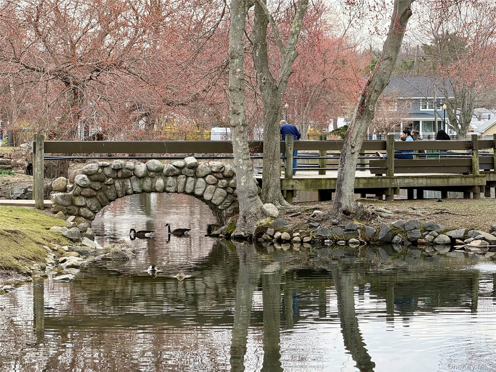 Coop Prime  Suffolk County, NY 11743, MLS-979919-26