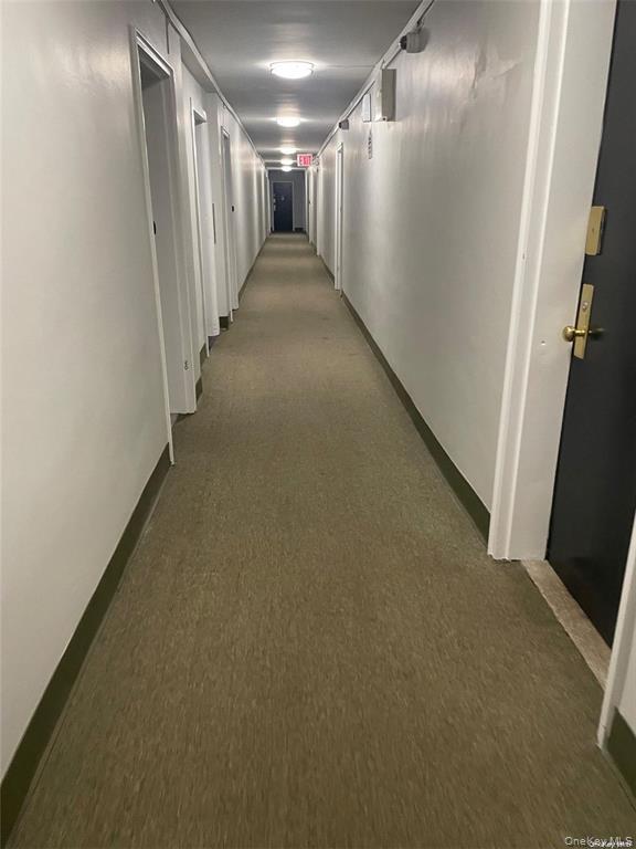 Coop Kew Gardens Queens, NY 11418, MLS-979991-5