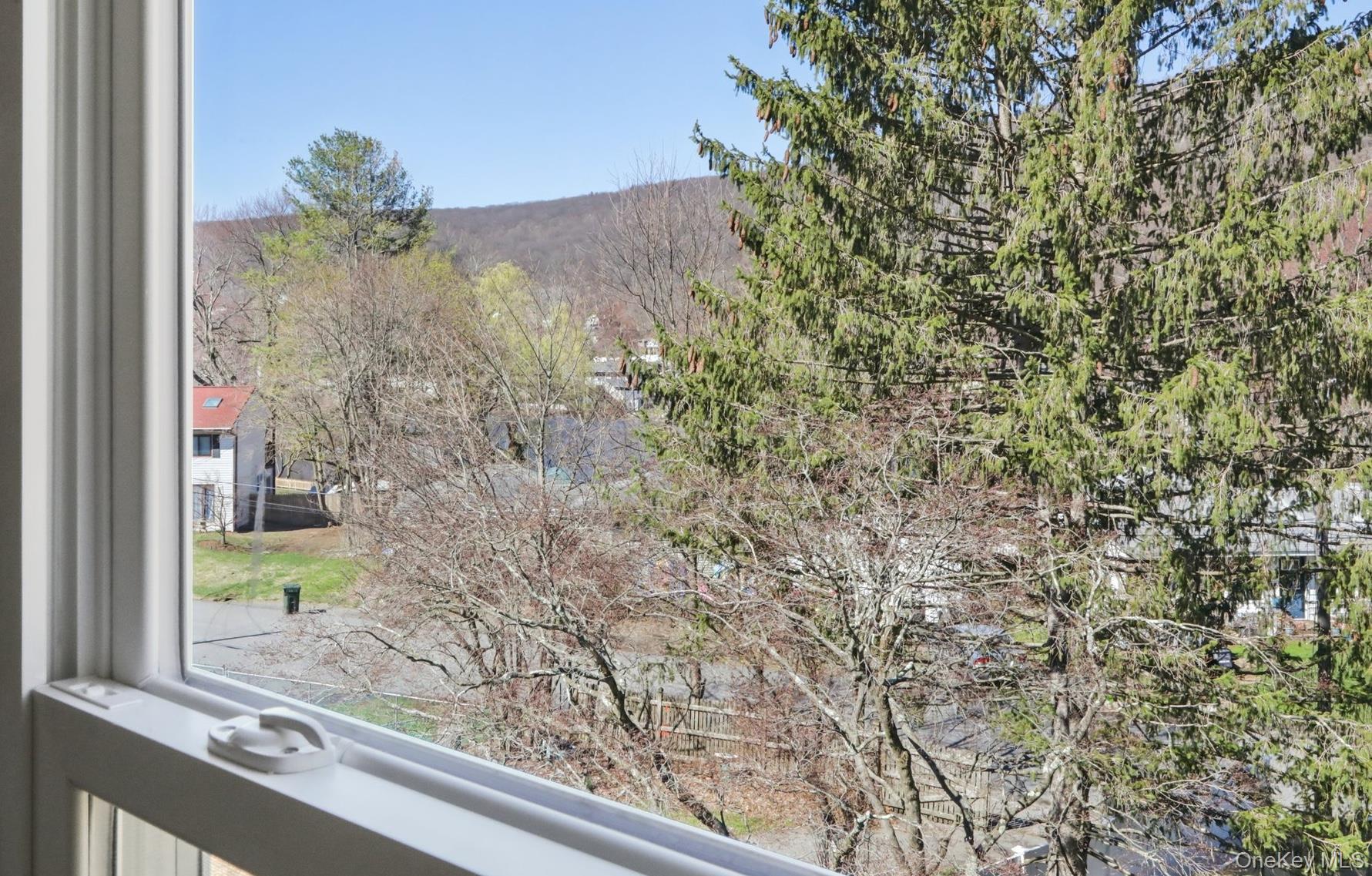Single Family Windermere Avenue Orange County, NY 10925, MLS-980046-28