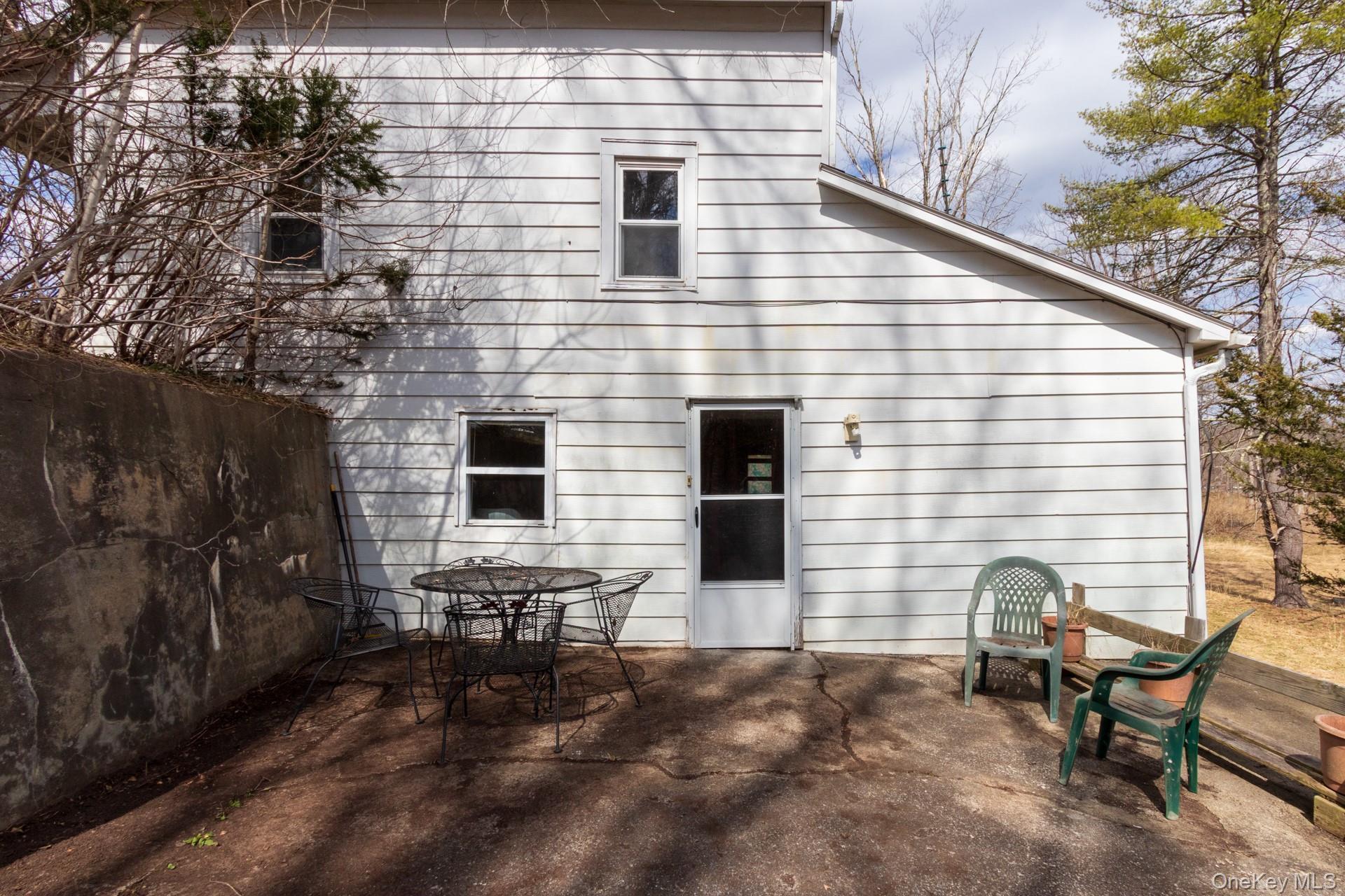 Single Family Red Mill  Greene County, NY 12083, MLS-980047-2