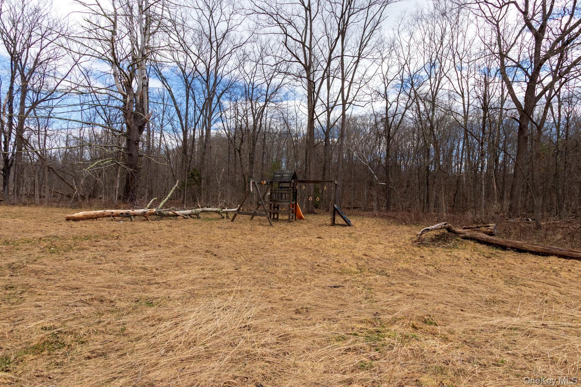 Single Family Red Mill  Greene County, NY 12083, MLS-980047-27