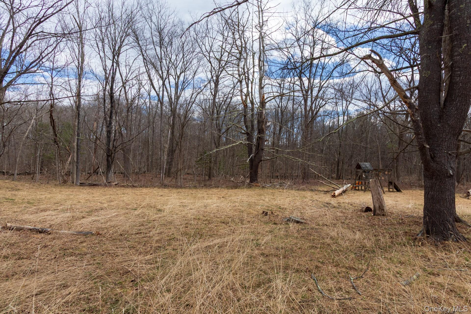 Single Family Red Mill  Greene County, NY 12083, MLS-980047-29