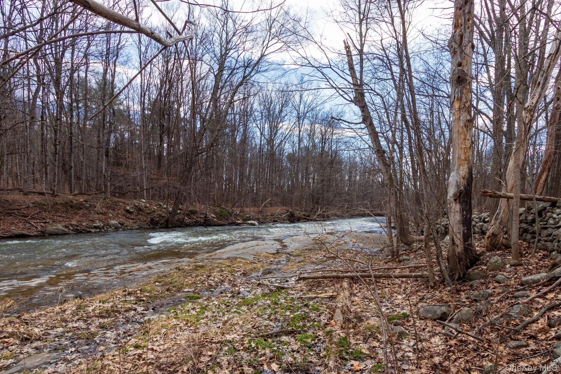 Single Family Red Mill  Greene County, NY 12083, MLS-980047-30