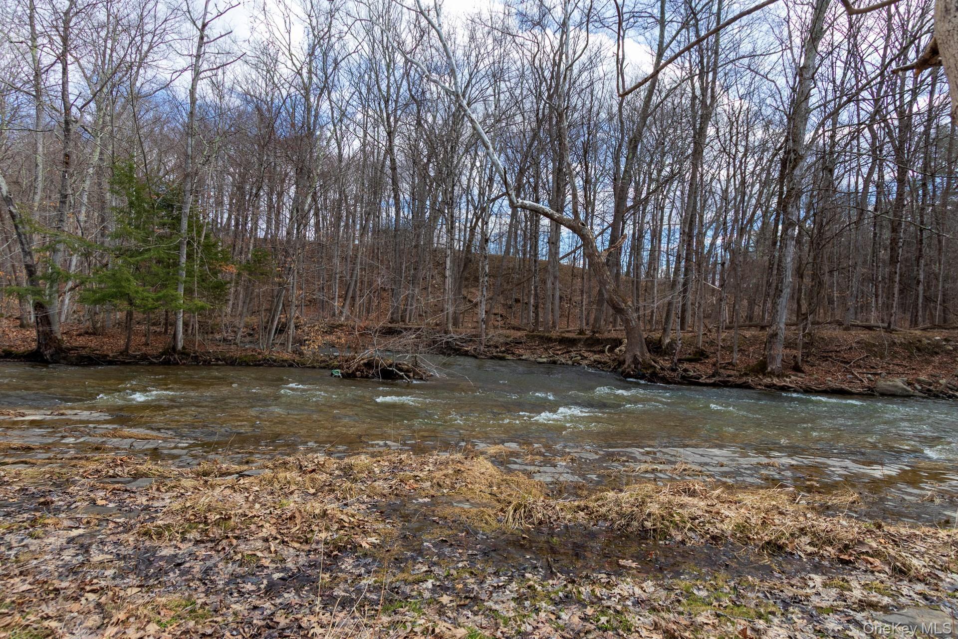 Single Family Red Mill  Greene County, NY 12083, MLS-980047-31