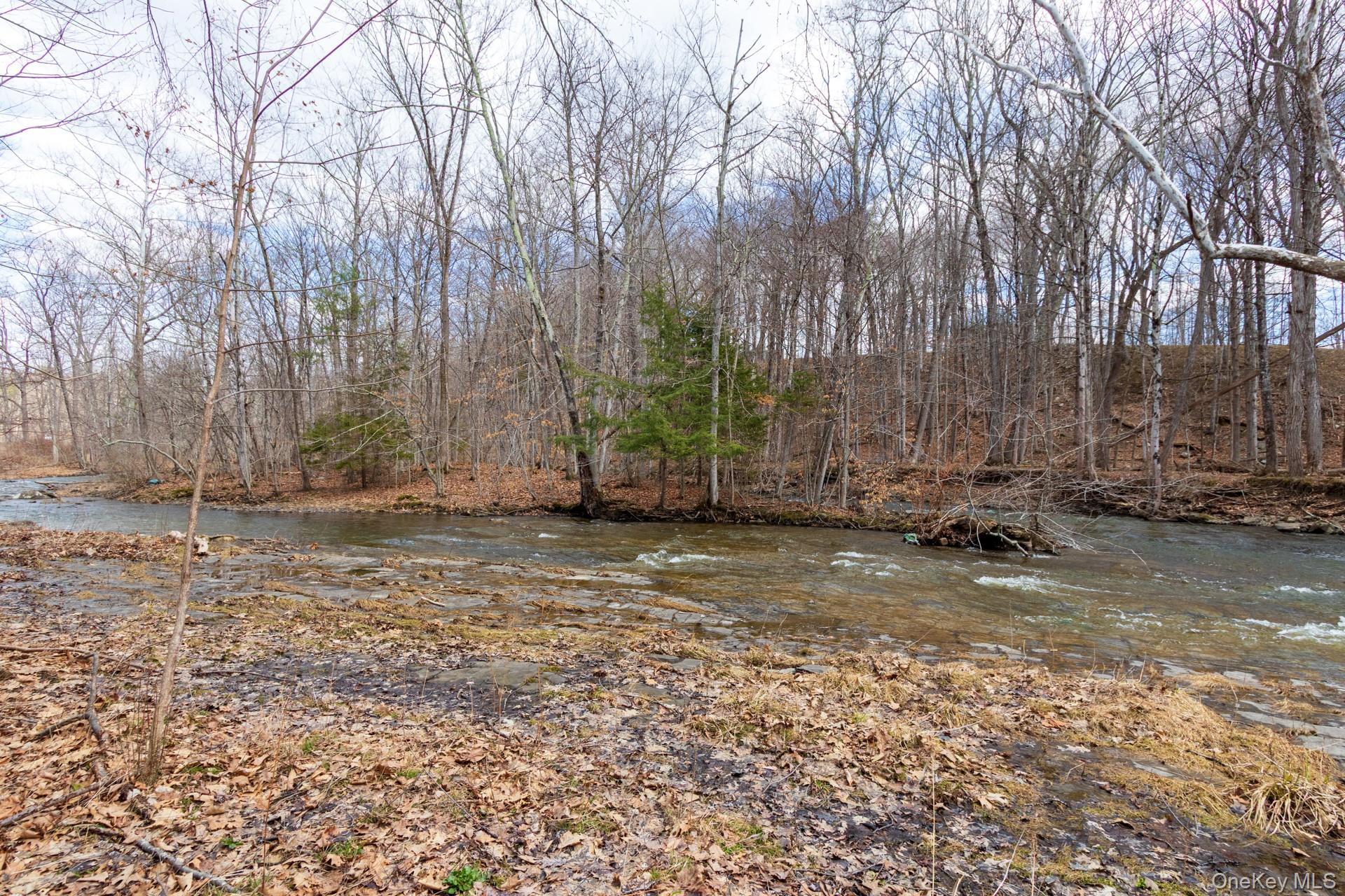 Single Family Red Mill  Greene County, NY 12083, MLS-980047-32