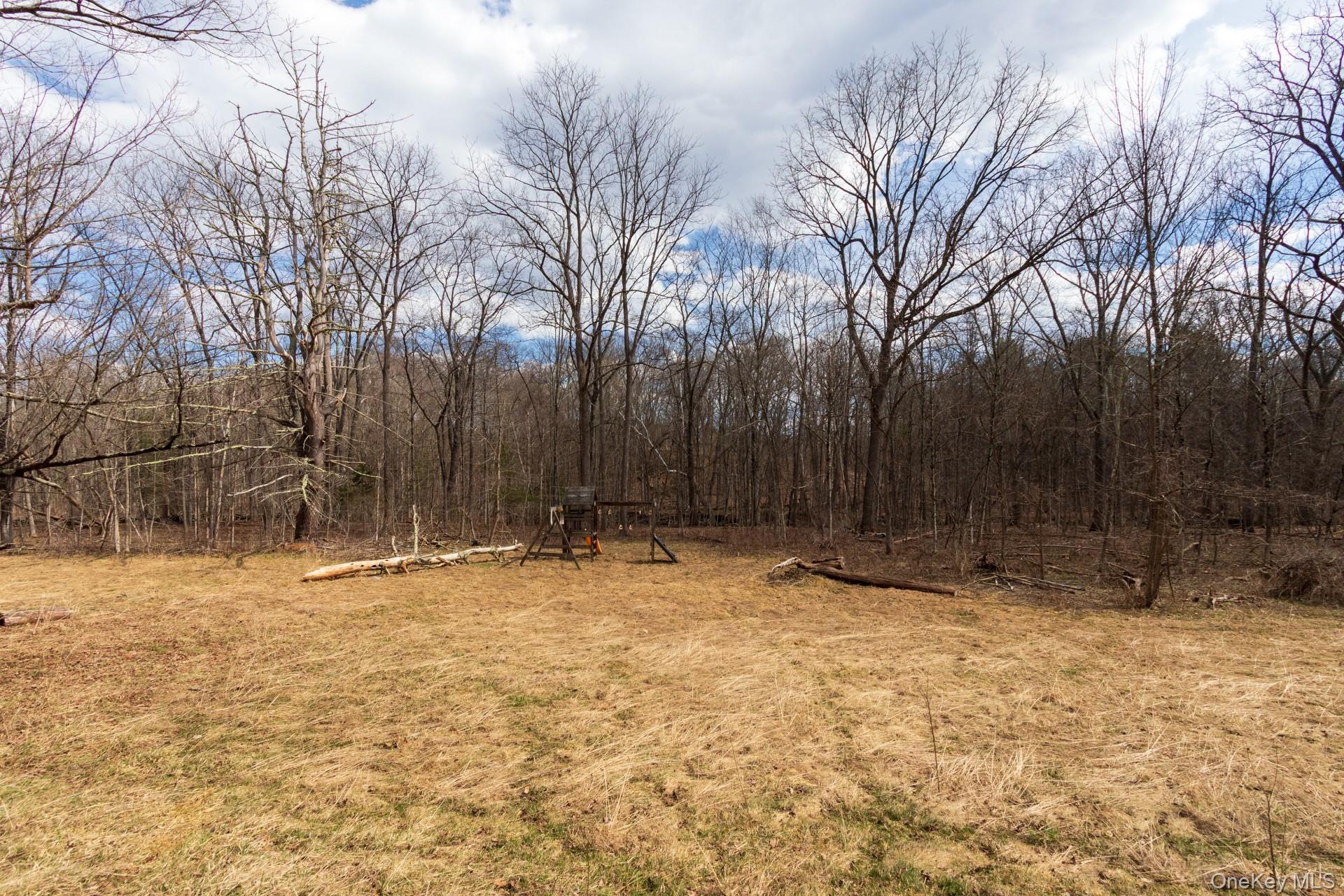 Single Family Red Mill  Greene County, NY 12083, MLS-980047-33