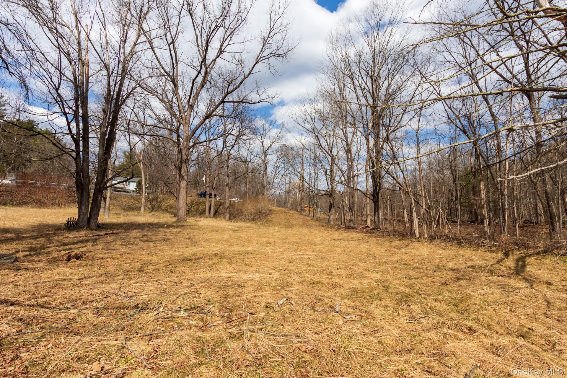 Single Family Red Mill  Greene County, NY 12083, MLS-980047-34