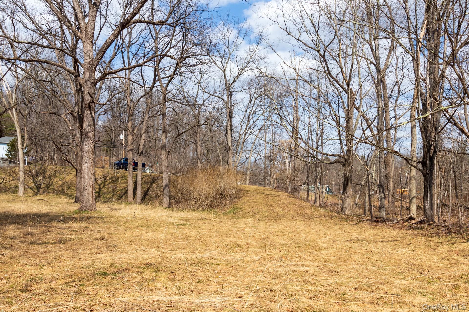 Single Family Red Mill  Greene County, NY 12083, MLS-980047-35