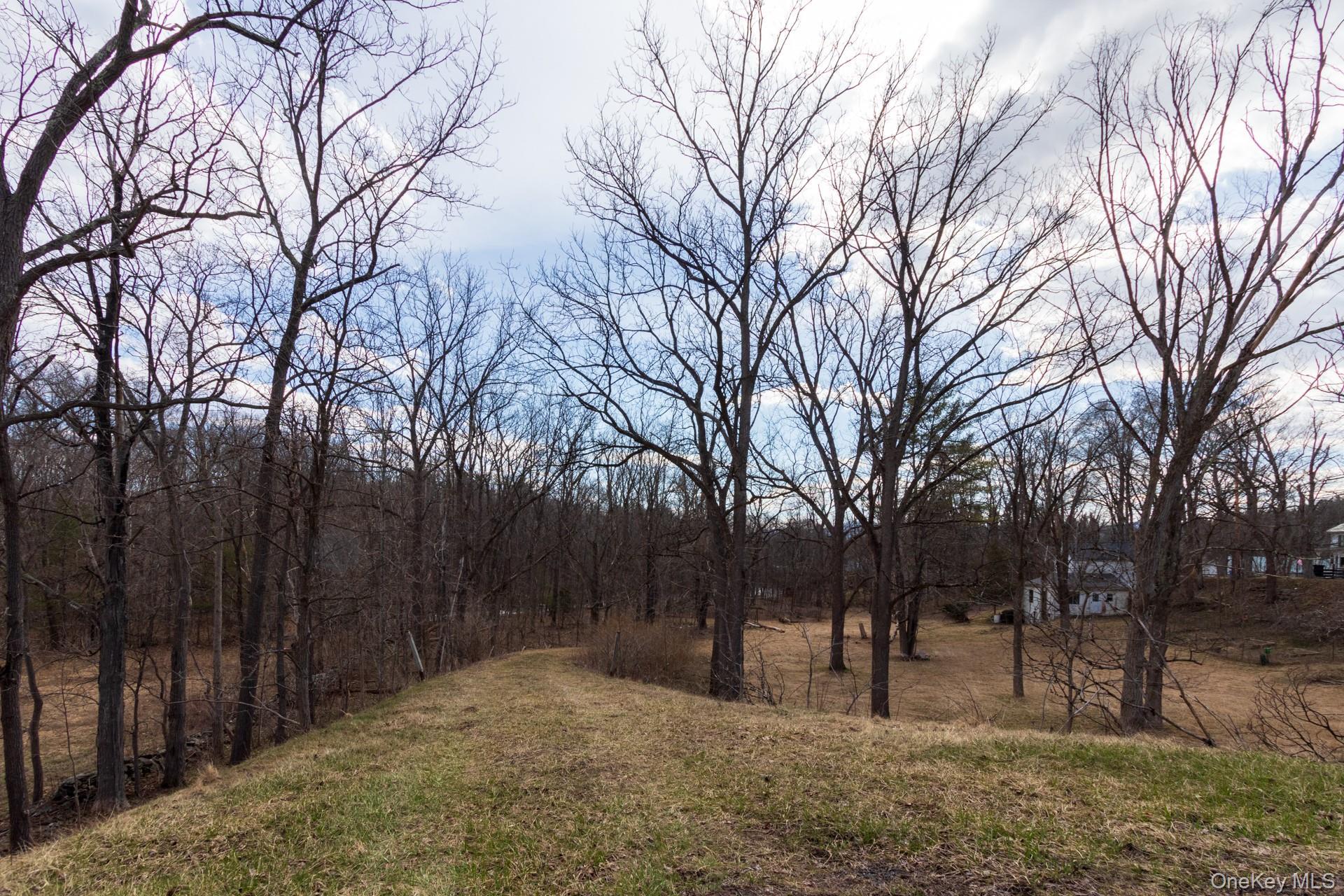 Single Family Red Mill  Greene County, NY 12083, MLS-980047-36