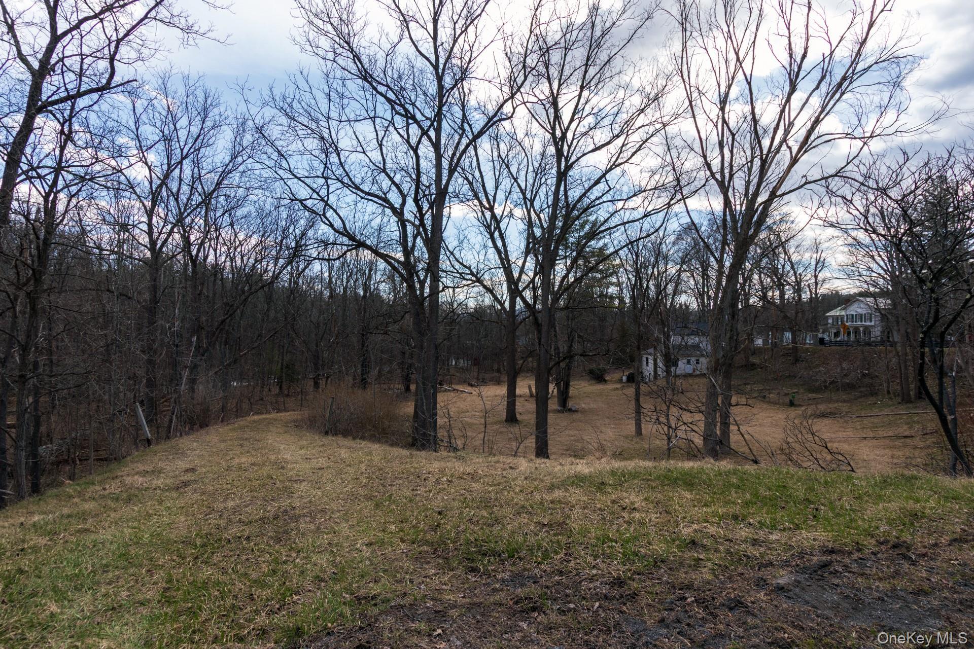 Single Family Red Mill  Greene County, NY 12083, MLS-980047-37