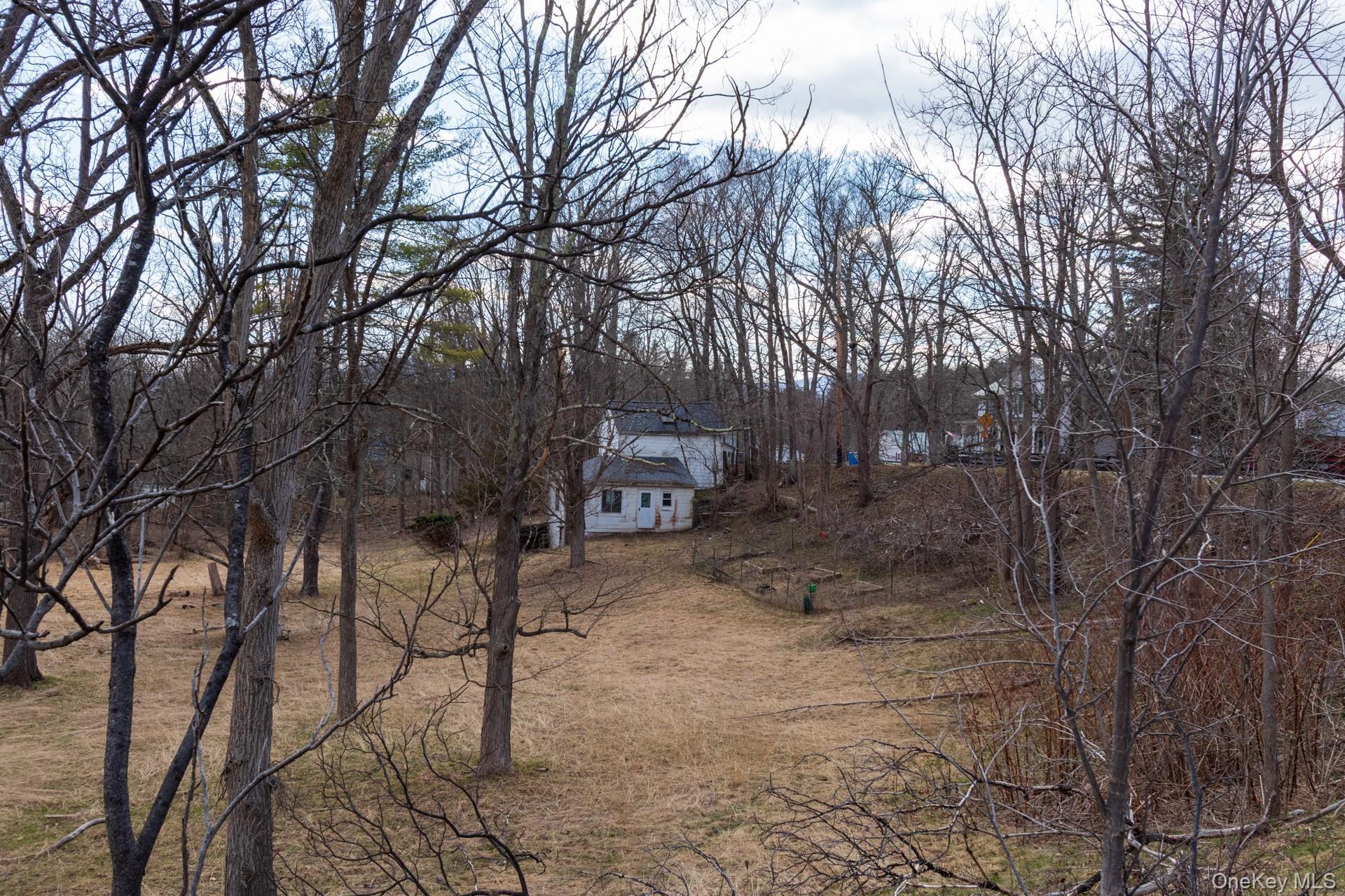 Single Family Red Mill  Greene County, NY 12083, MLS-980047-38