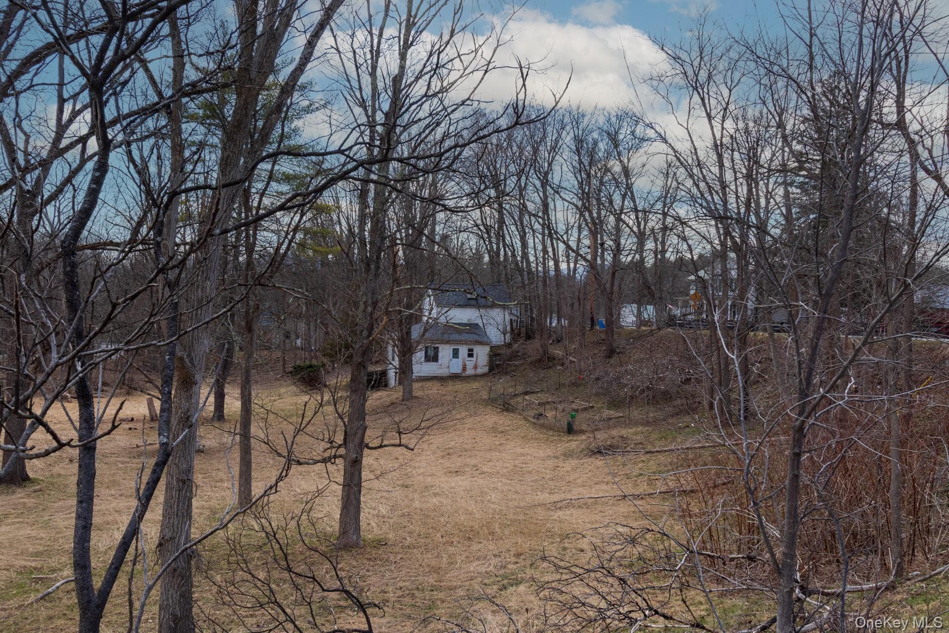 Single Family Red Mill  Greene County, NY 12083, MLS-980047-39