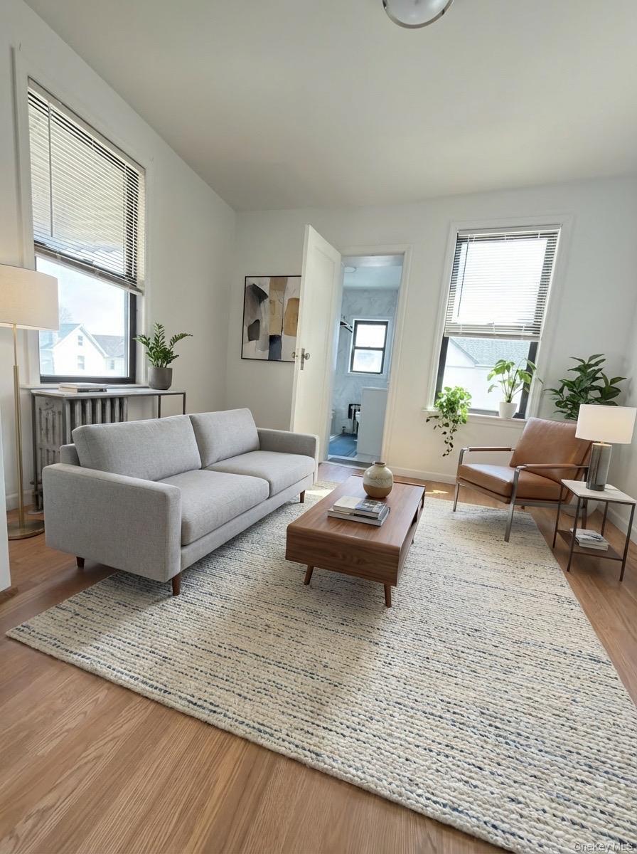 Single Family Dry Harbor Queens, NY 11379, MLS-980138-5