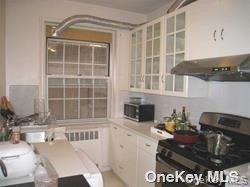 Apartment 67th Drive Queens, NY 11375, MLS-980146-3