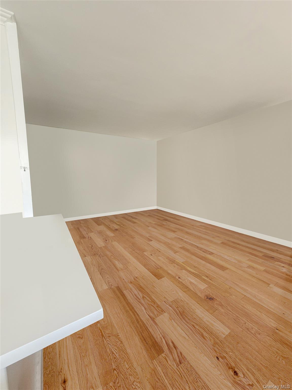 Condo Cozine  Brooklyn, NY 11207, MLS-980177-14