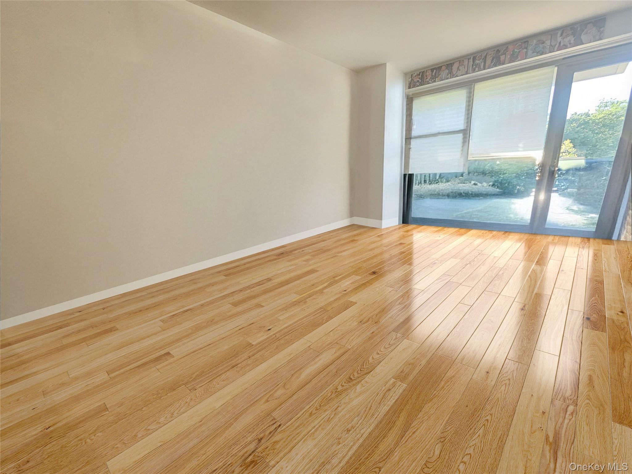 Condo Cozine  Brooklyn, NY 11207, MLS-980177-15