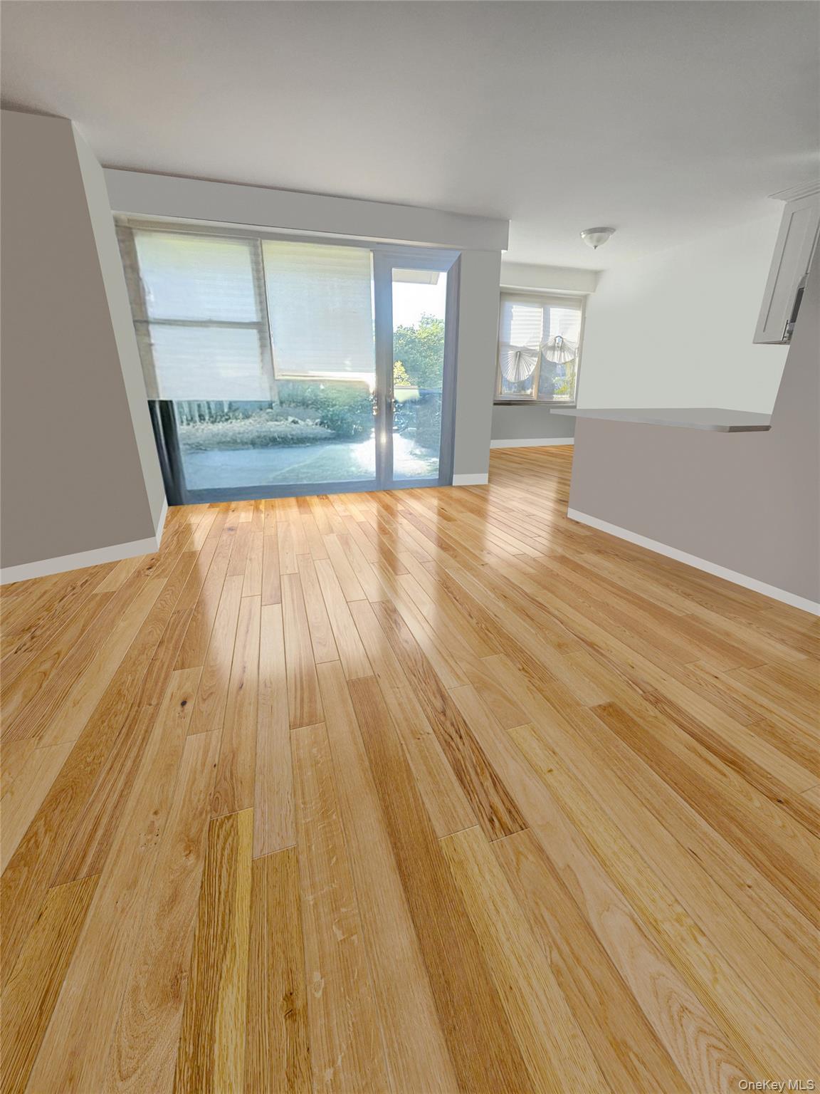 Condo Cozine  Brooklyn, NY 11207, MLS-980177-17