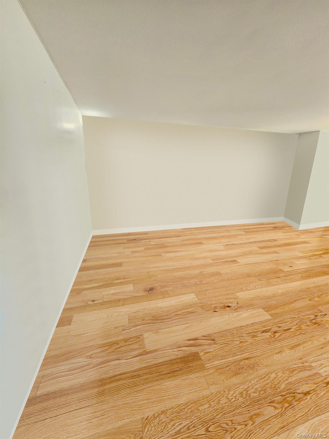 Condo Cozine  Brooklyn, NY 11207, MLS-980177-18