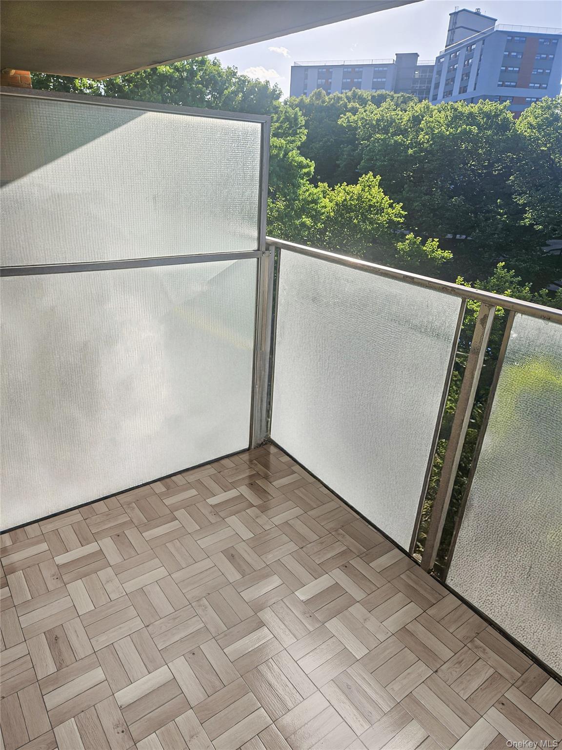 Condo Cozine  Brooklyn, NY 11207, MLS-980177-19