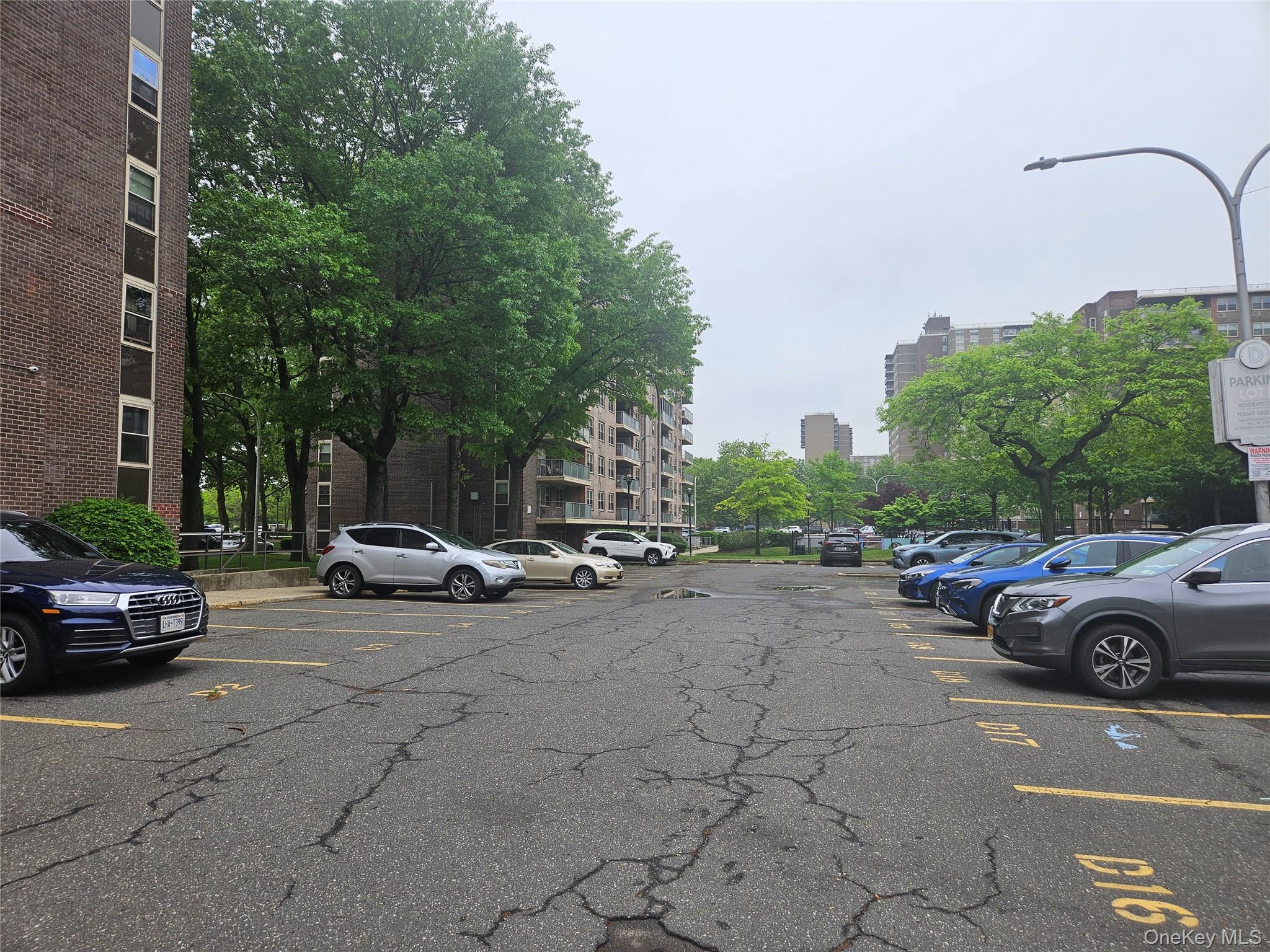 Condo Cozine  Brooklyn, NY 11207, MLS-980177-20