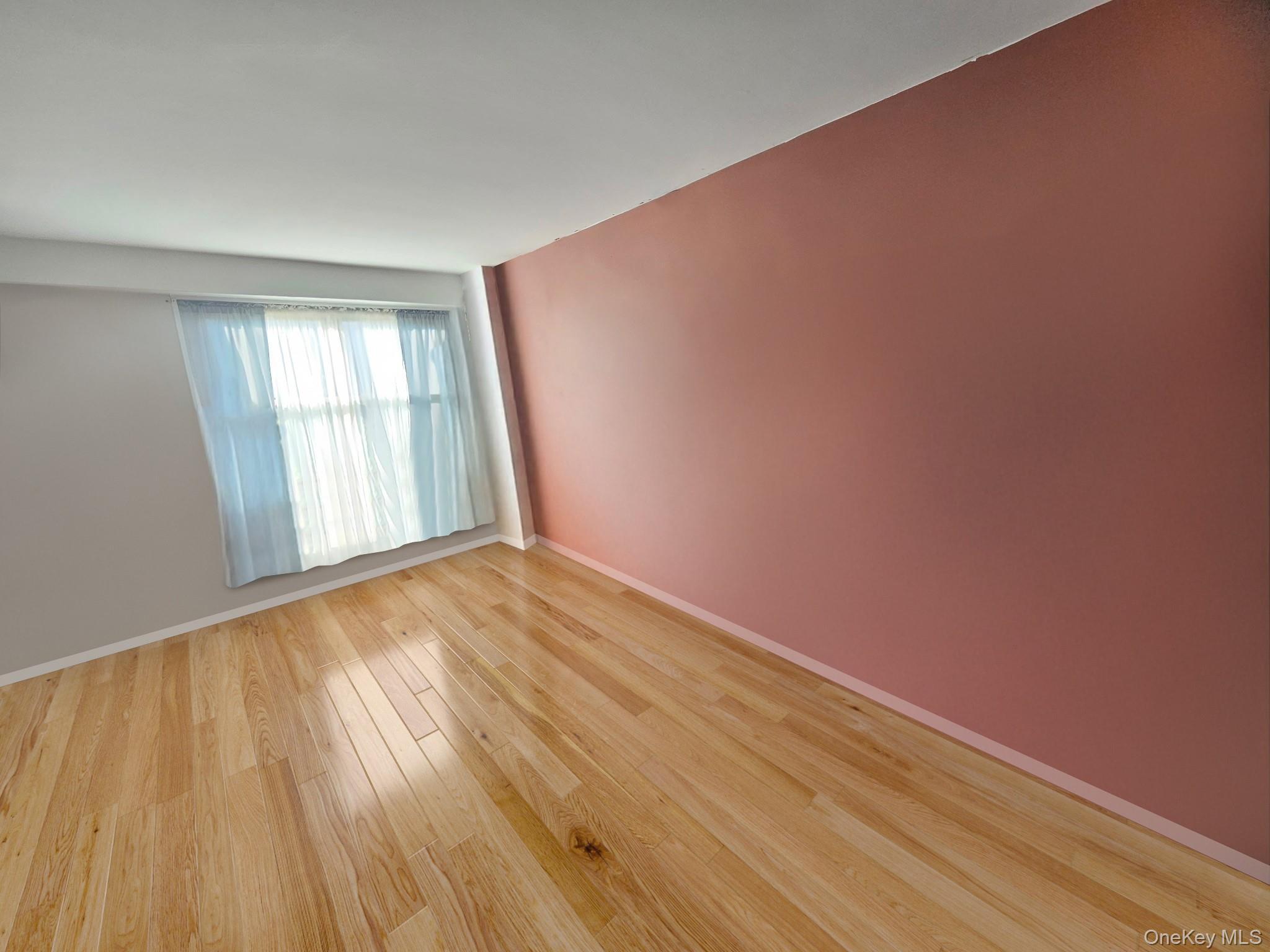 Condo Cozine  Brooklyn, NY 11207, MLS-980177-6