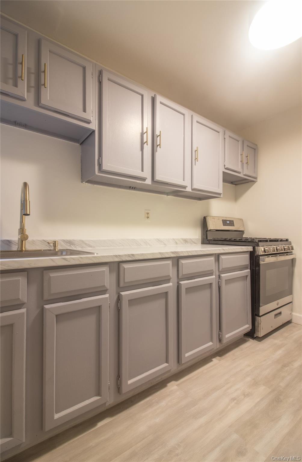 Coop Pacific Brooklyn, NY 11233, MLS-980203-4