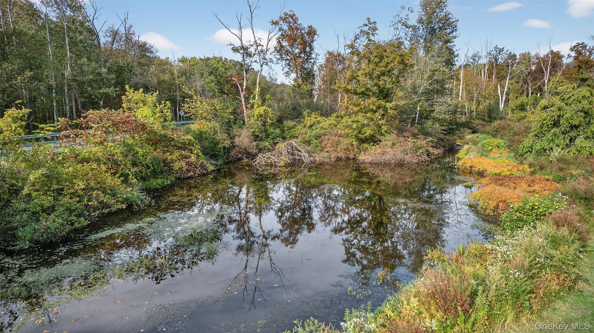 Single Family S Creek Road Dutchess County, NY 12580, MLS-980223-19